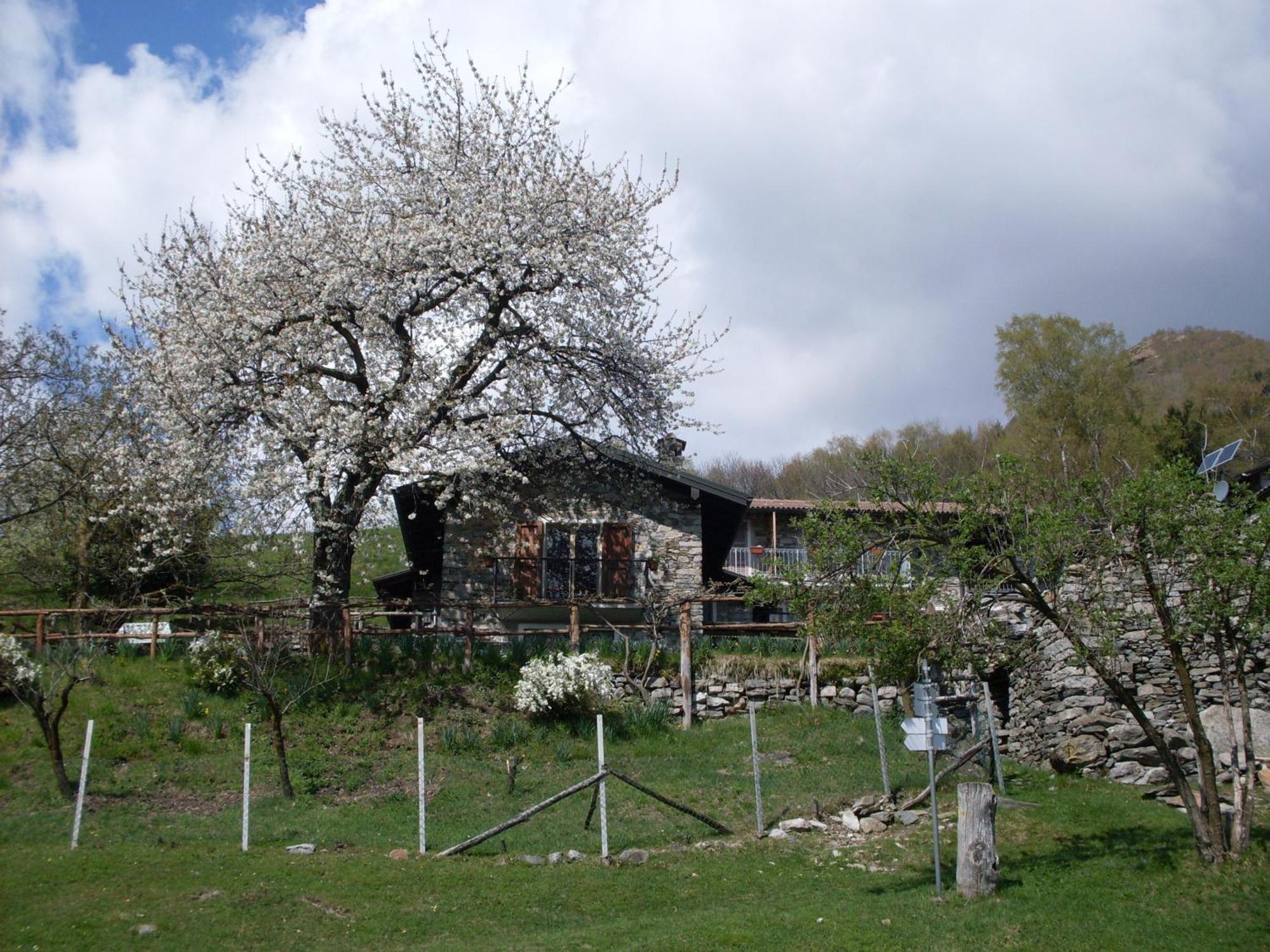 Agriturismo Da Attilio Cannobio Exterior foto