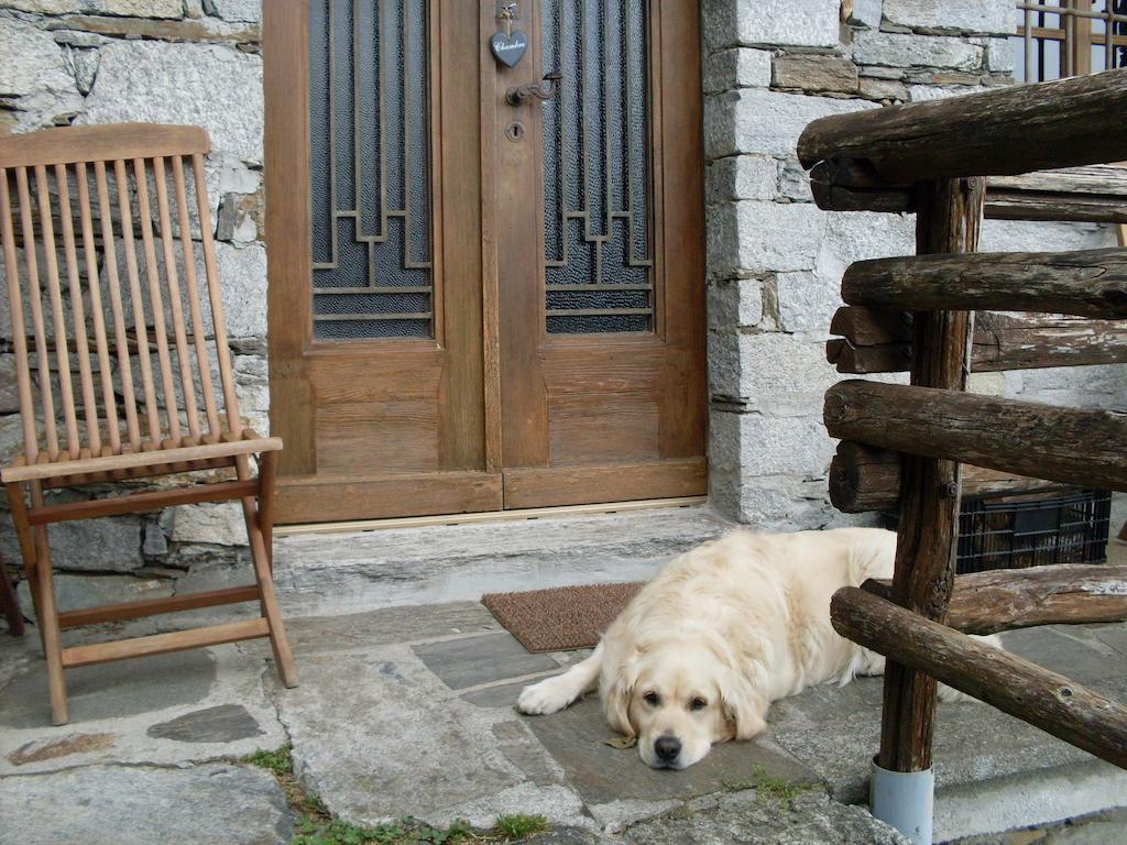 Agriturismo Da Attilio Cannobio Cameră foto